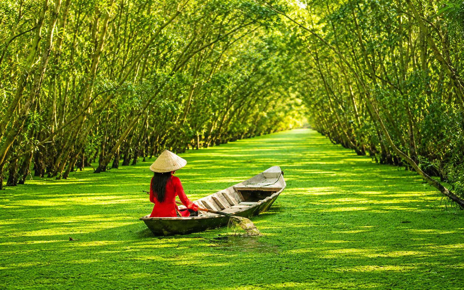 Châu Đốc Tháng 8: Trà Sư Và Mùa Nước Nổi