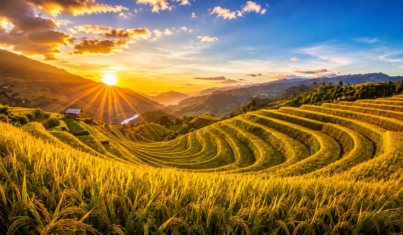 Sa Pa Mùa Lúa Vàng Tháng 8: Đi Sao Cho Trọn Cảnh Ruộng Bậc Thang