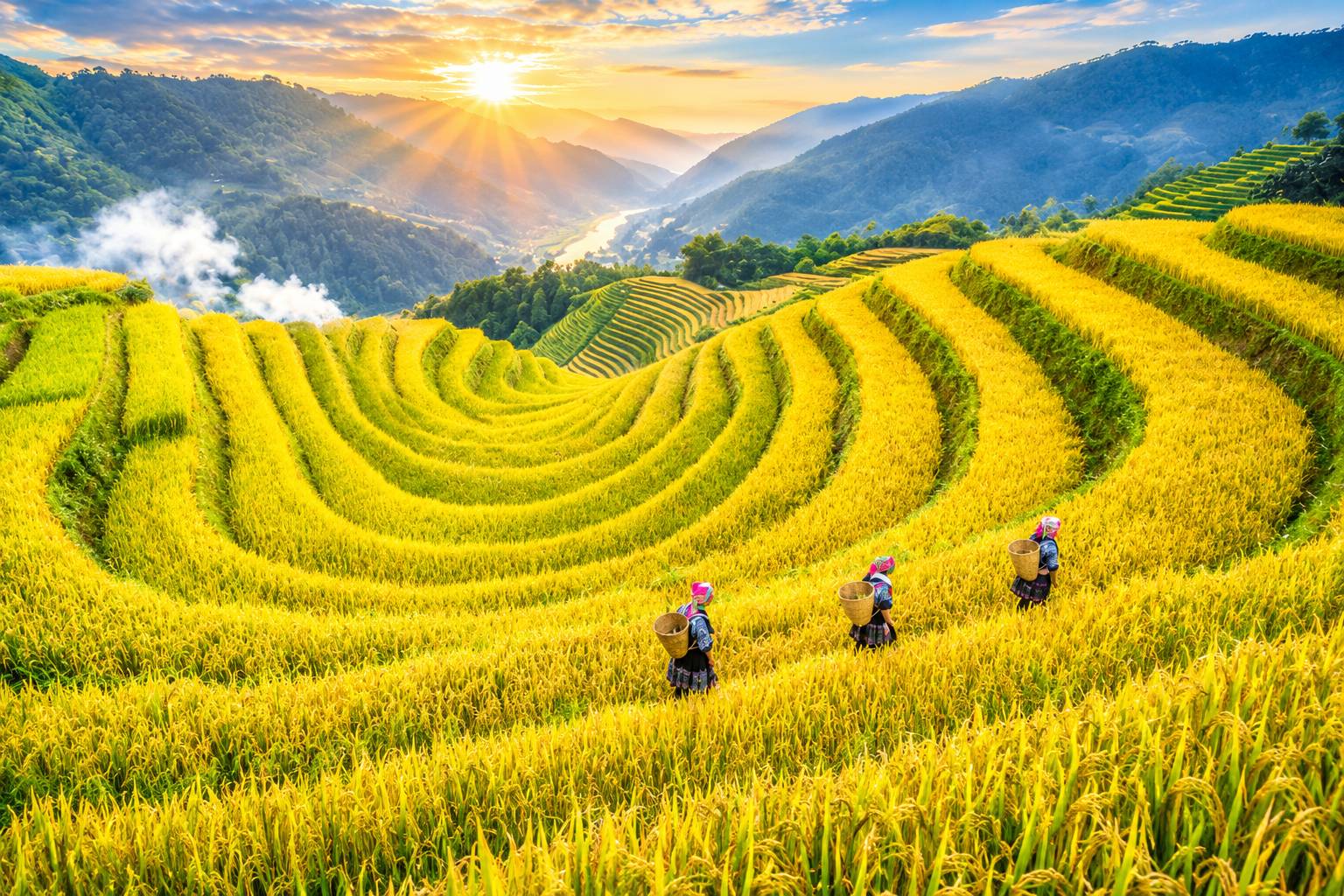 Du lịch Sa Pa mùa lúa vàng tháng 8 - Một trong những trải nghiệm đáng giá nhất năm